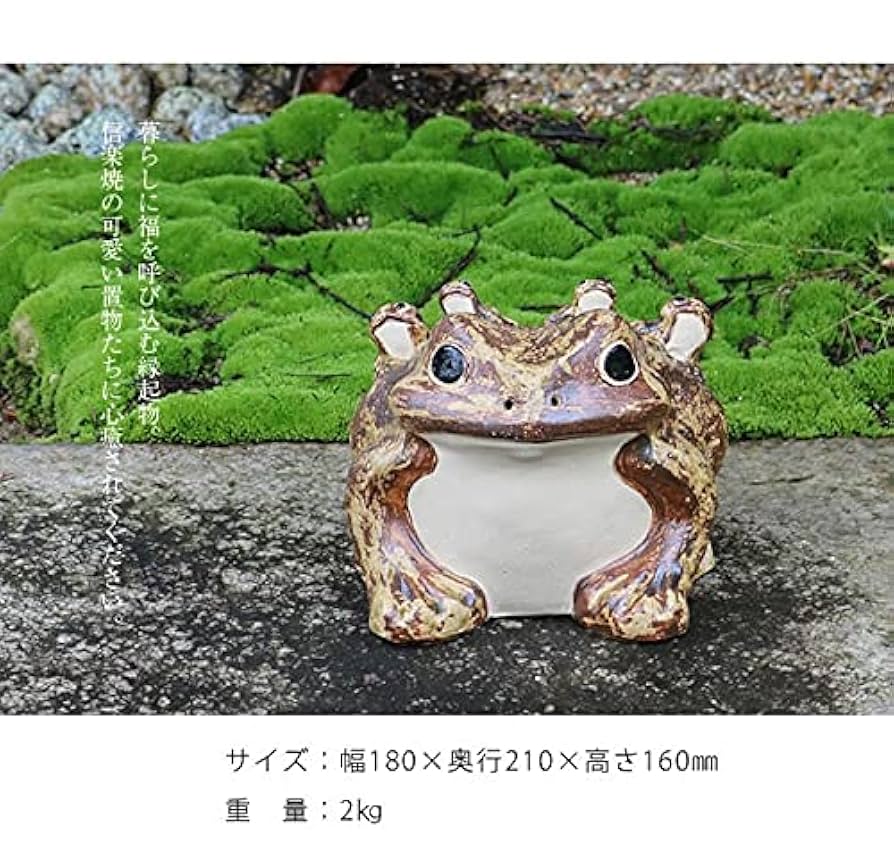 信楽焼　立ち蛙　笑い蛙(大)45㌢　手作り蛙 楽天市場】【11%OFFクーポン配布中】信楽焼き 笑い目立蛙（大